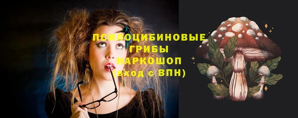 гидропоника Горно-Алтайск