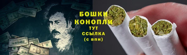 гидропоника Горно-Алтайск